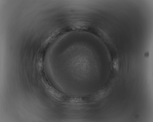 X0000110710915200906261427