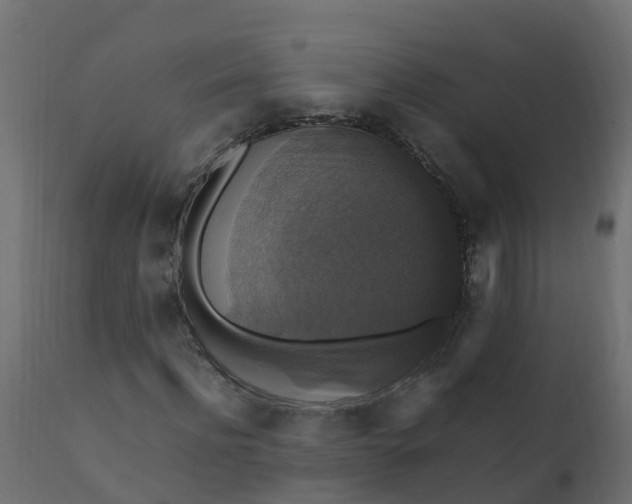 X0000110710916200906261427