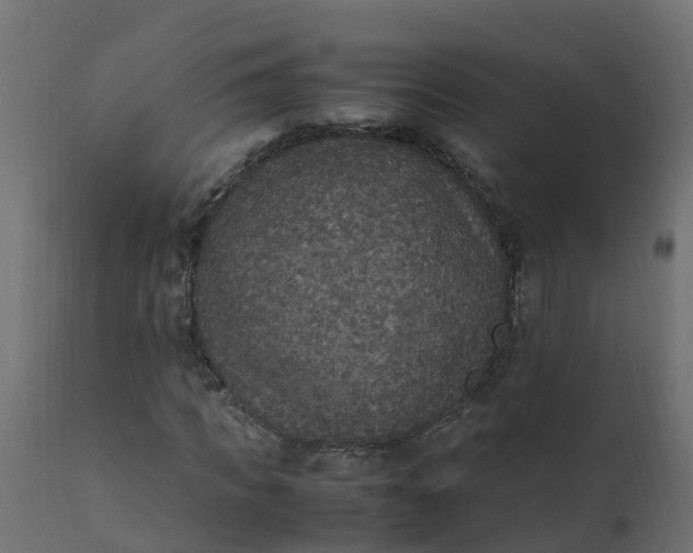 X0000110710917200906261427