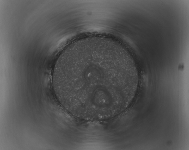 X0000110710918200906261427