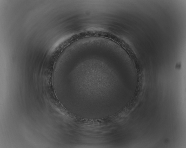 X0000110710919200906261427