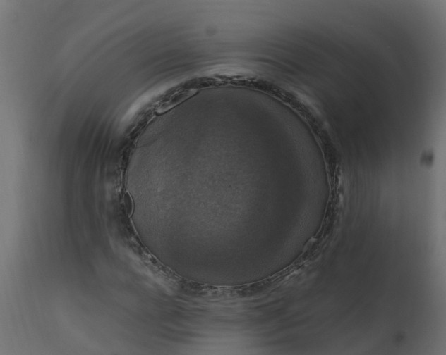 X0000110710920200906261427