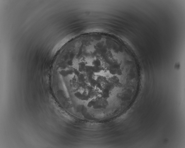 X0000110710921200906261427