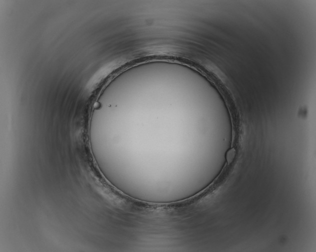 X0000110710922200906261427
