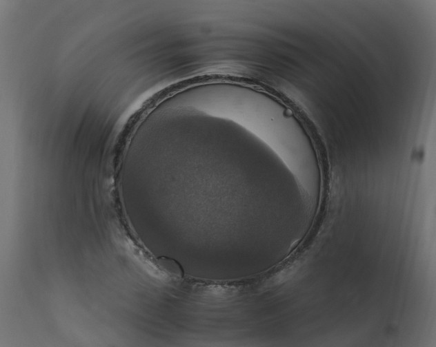 X0000110710923200906261427