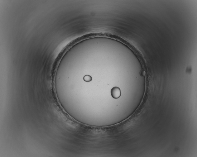 X0000110710927200906261428