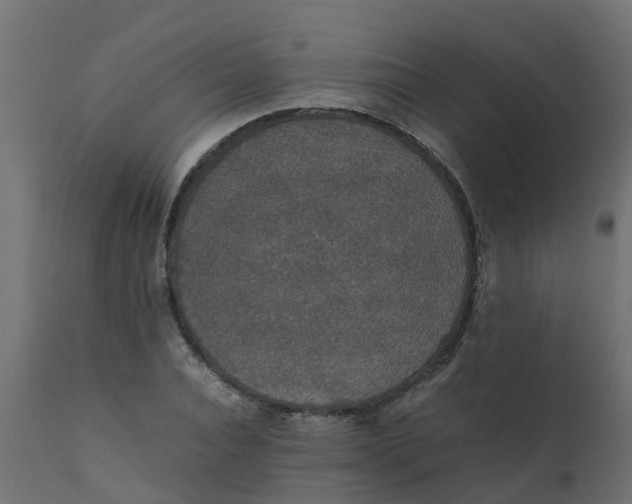 X0000110710928200906261428