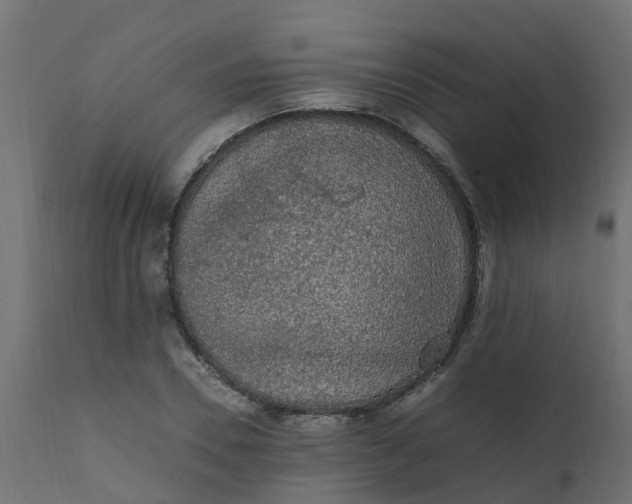 X0000110710930200906261428
