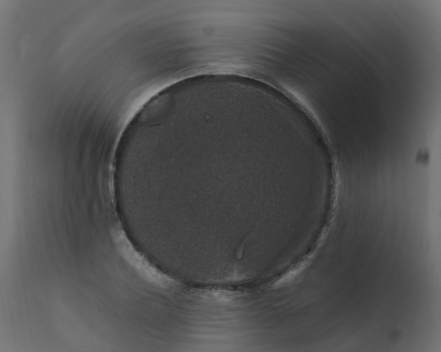 X0000110710932200906261428