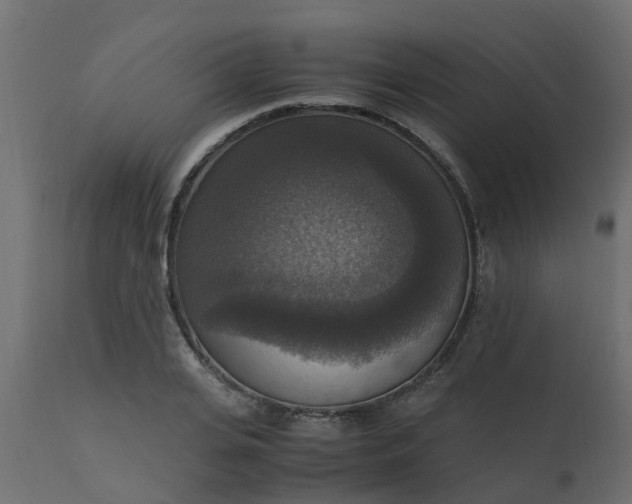 X0000110710935200906261428