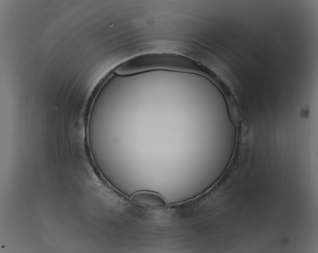 X0000110710936200906261428