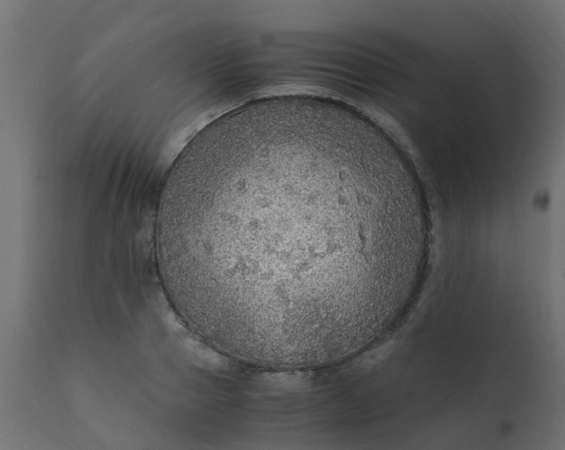 X0000110710937200906261428