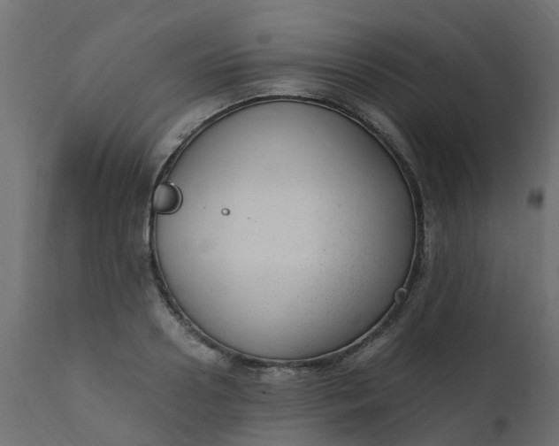 X0000110710938200906261428