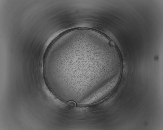 X0000110710939200906261428