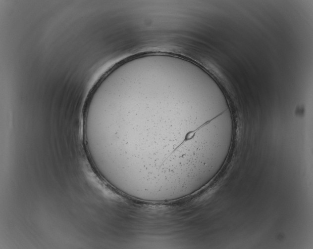 X0000110710940200906261428