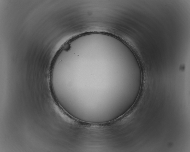 X0000110710942200906261428