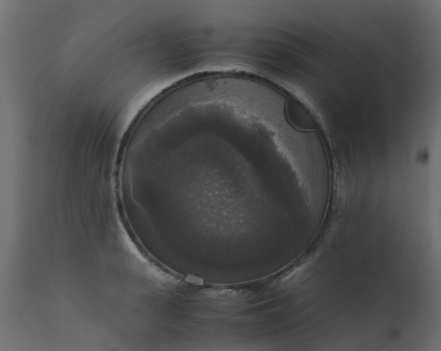 X0000110710943200906261428