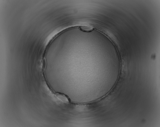 X0000110710944200906261428