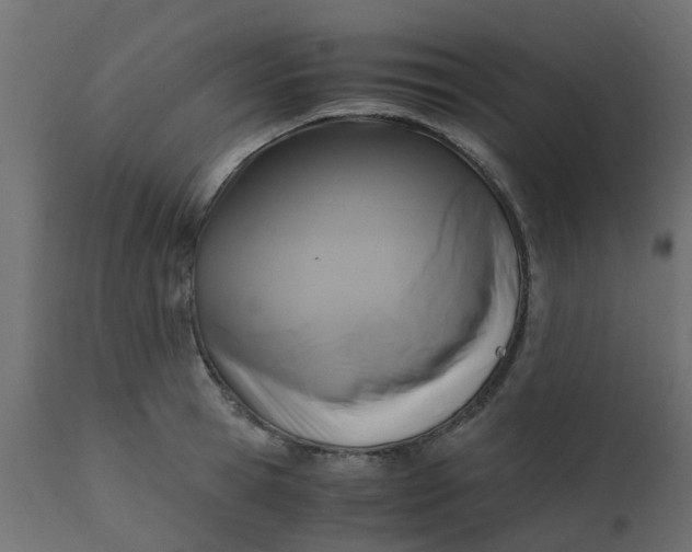 X0000110710945200906261428