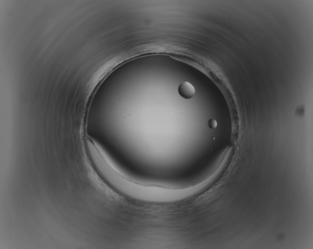 X0000110710946200906261428