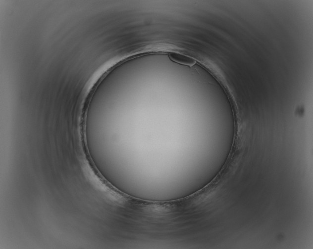 X0000110710947200906261428