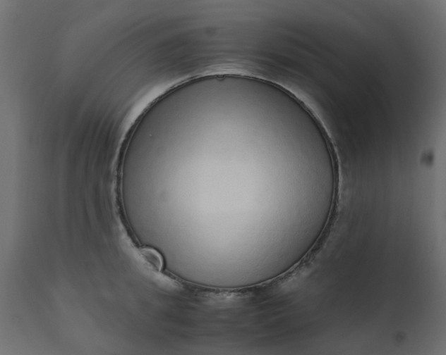 X0000110710949200906261428