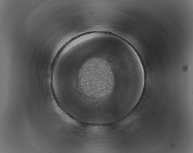 X0000110710950200906261428
