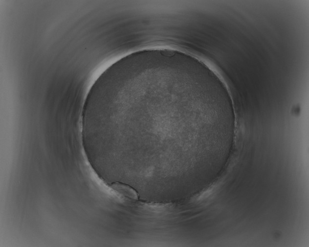 X0000110710951200906261428
