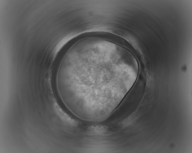 X0000110710952200906261428