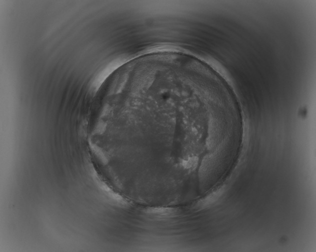 X0000110710953200906261428