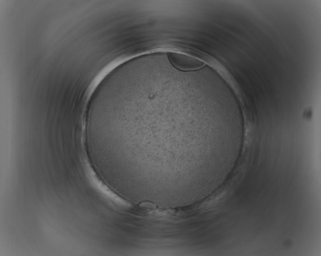 X0000110710955200906261428