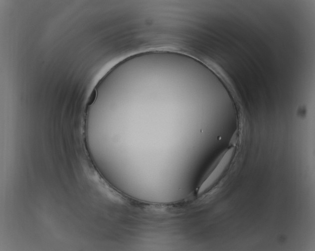 X0000110710956200906261428