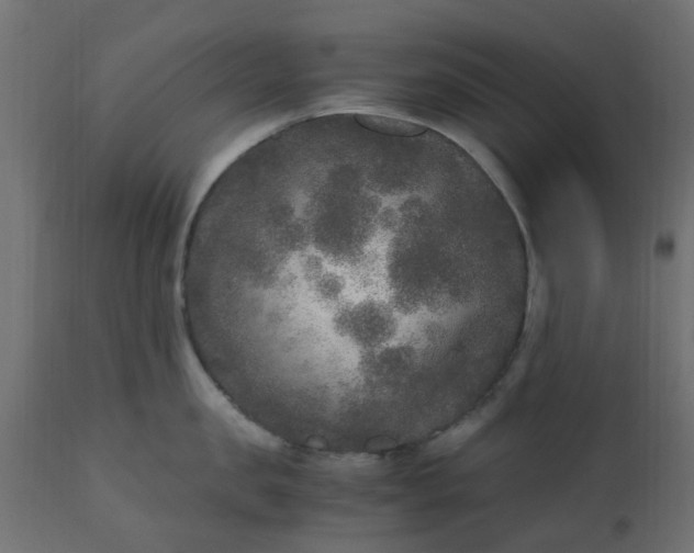 X0000110710957200906261428
