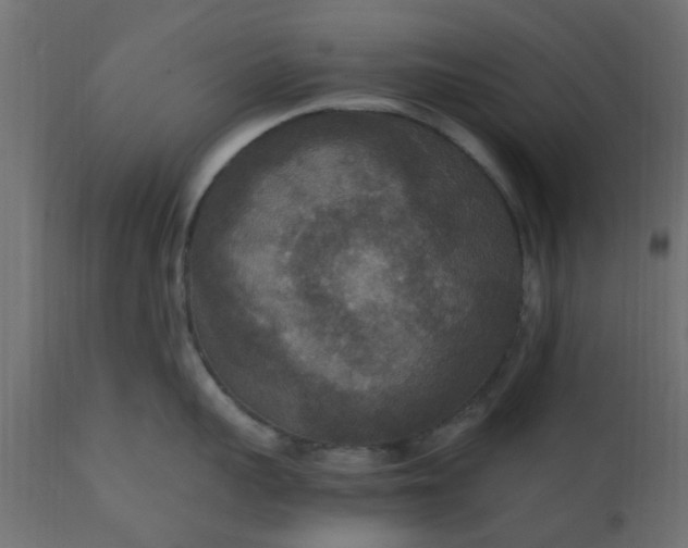 X0000110710959200906261428