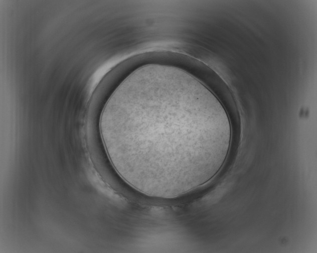 X0000110710960200906261428