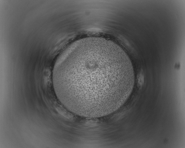 X0000110710964200906261427