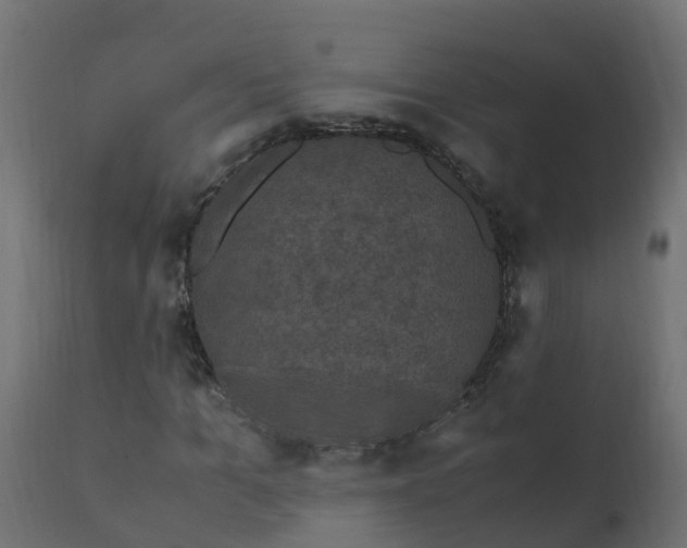 X0000110710965200906261427