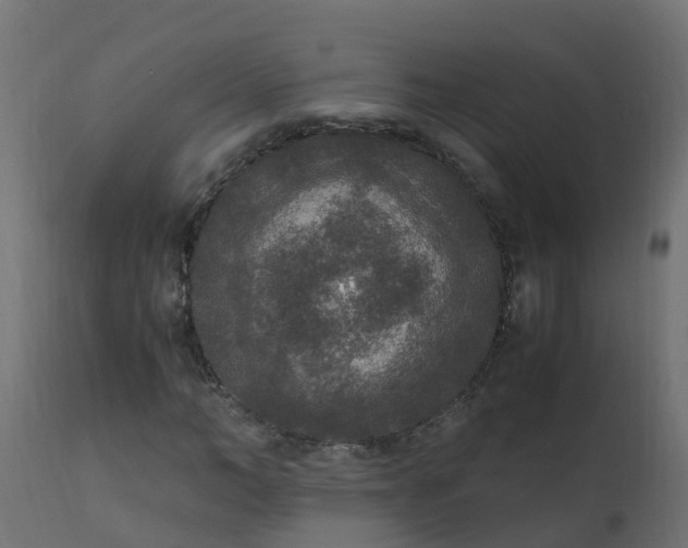 X0000110710966200906261427