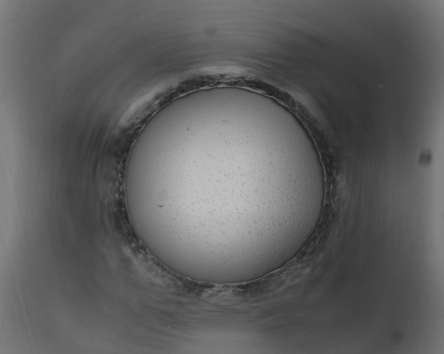 X0000110710967200906261427