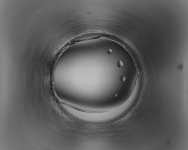 X0000110710969200906261427