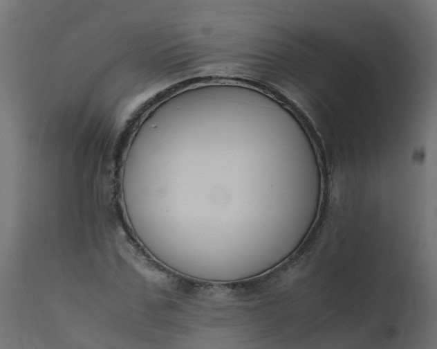 X0000110710971200906261427