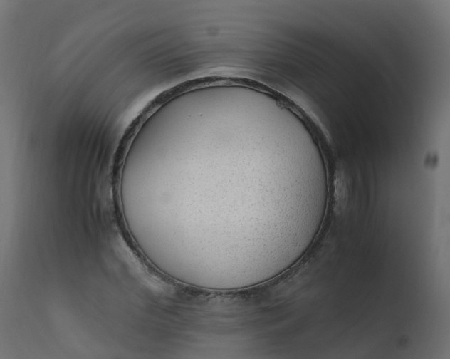 X0000110710972200906261427