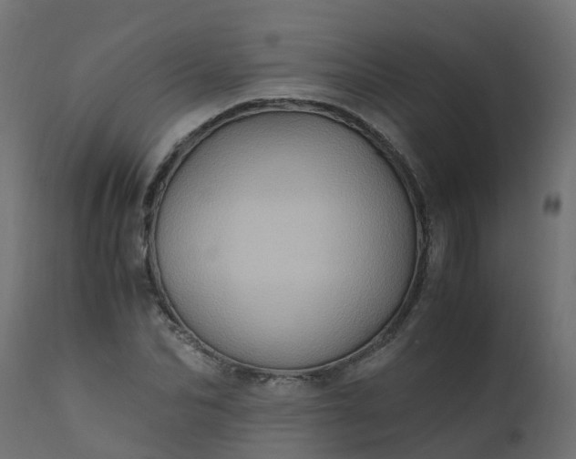X0000110710974200906261427
