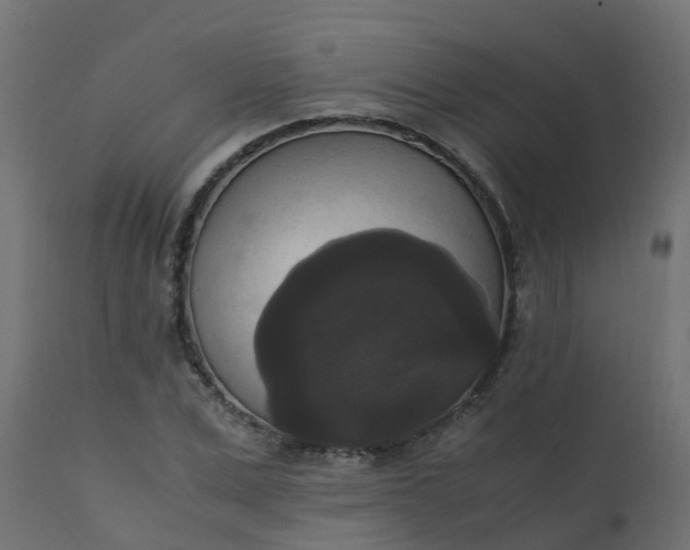 X0000110710975200906261427
