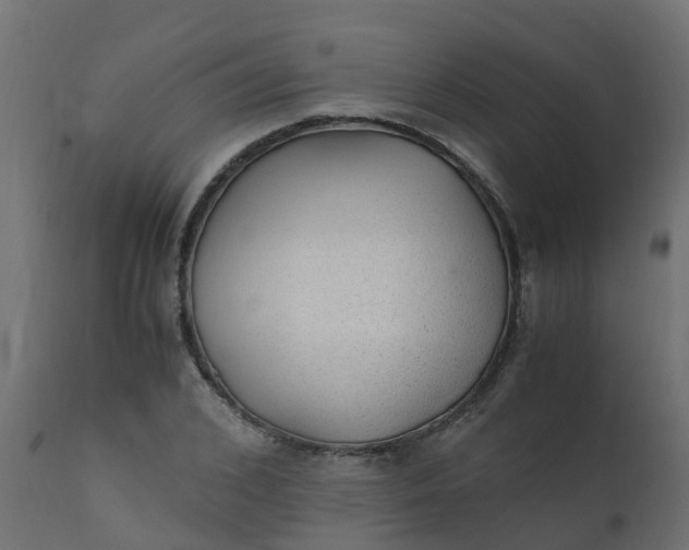 X0000110710976200906261427