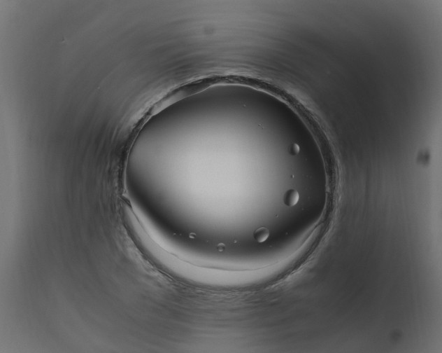X0000110710977200906261427