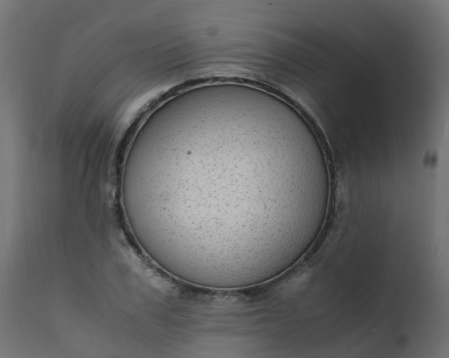 X0000110710979200906261427
