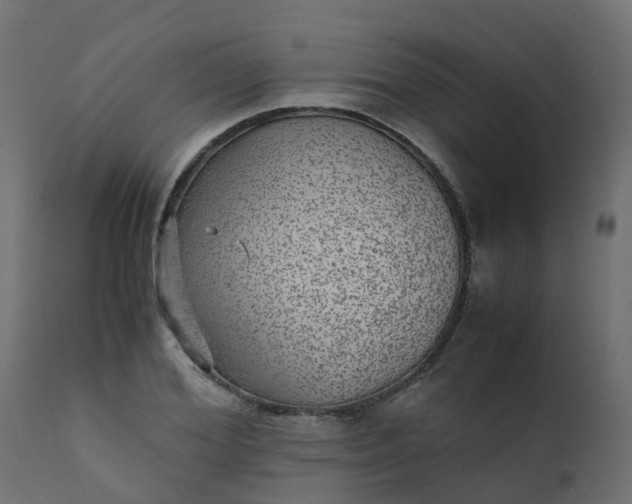 X0000110710980200906261427