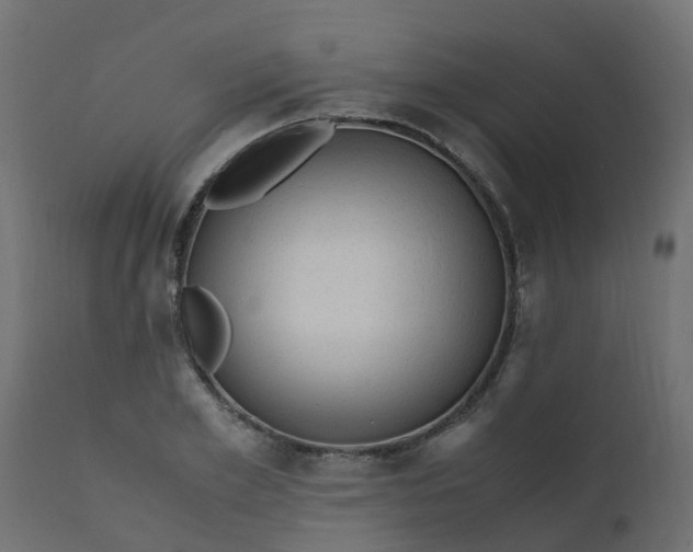 X0000110710981200906261427
