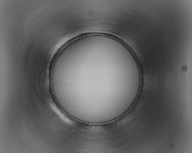 X0000110710982200906261427